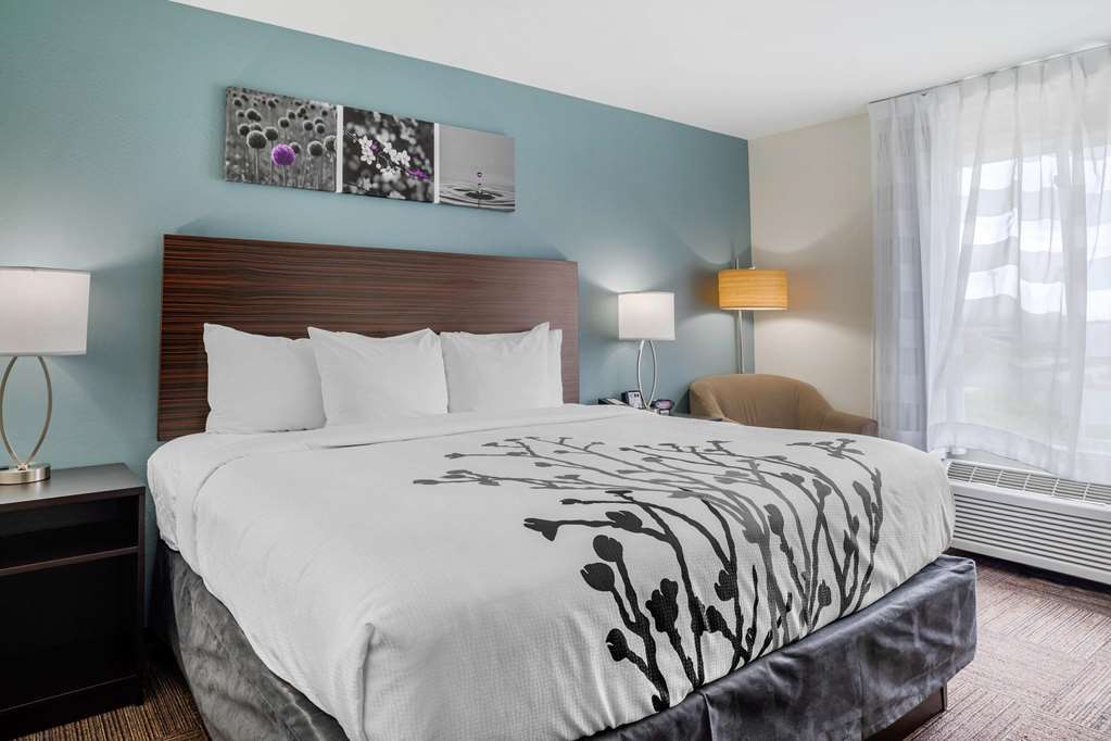 Sleep Inn & Suites Near Westchase Houston Room photo